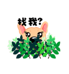 French Bulldog - (Shi Tazi Phi)(Chinese)（個別スタンプ：29）