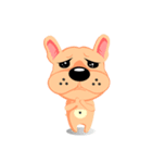 French Bulldog - (Shi Tazi Phi)(Chinese)（個別スタンプ：31）