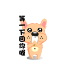 French Bulldog - (Shi Tazi Phi)(Chinese)（個別スタンプ：40）