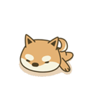 Shiba Inu(Shiba-Dog) Little Butt(cute)（個別スタンプ：11）