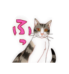 すずれお（個別スタンプ：3）