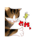 すずれお（個別スタンプ：21）