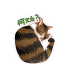 すずれお（個別スタンプ：34）
