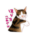 すずれお（個別スタンプ：39）