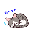 ねこのみり（個別スタンプ：26）