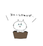 ただのねこ語（個別スタンプ：19）