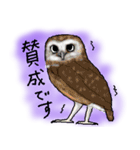 びびり動物（個別スタンプ：37）