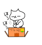マイペースにゃんこ（個別スタンプ：1）