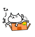 マイペースにゃんこ（個別スタンプ：19）