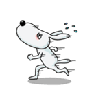 街で生きぬく動物（個別スタンプ：31）