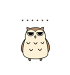 Cockatiel,Java ＆ Owl（個別スタンプ：17）