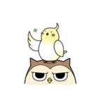 Cockatiel,Java ＆ Owl（個別スタンプ：38）