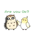 Cockatiel,Java ＆ Owl（個別スタンプ：39）