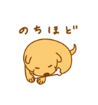 犬っていいよね。（個別スタンプ：24）