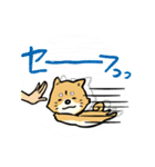 きゃばしばWanだほー（個別スタンプ：5）