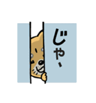 きゃばしばWanだほー（個別スタンプ：17）