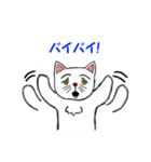 ポップな猫（個別スタンプ：7）