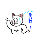 ポップな猫（個別スタンプ：18）