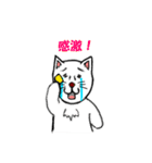 ポップな猫（個別スタンプ：23）