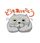 ブリねこ（個別スタンプ：7）