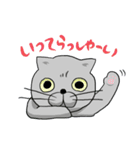 ブリねこ（個別スタンプ：19）