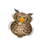 Lucky owl（個別スタンプ：4）