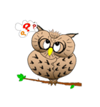 Lucky owl（個別スタンプ：27）