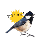 日本の野鳥2（個別スタンプ：15）