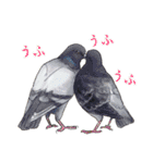 日本の野鳥2（個別スタンプ：35）