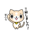 見習い猫の日常（個別スタンプ：1）