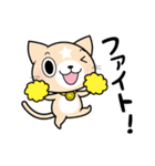見習い猫の日常（個別スタンプ：6）