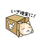 見習い猫の日常（個別スタンプ：9）