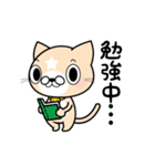 見習い猫の日常（個別スタンプ：10）