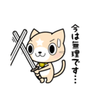 見習い猫の日常（個別スタンプ：11）