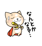 見習い猫の日常（個別スタンプ：12）