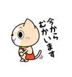 見習い猫の日常（個別スタンプ：13）