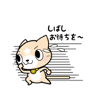 見習い猫の日常（個別スタンプ：14）