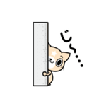 見習い猫の日常（個別スタンプ：15）