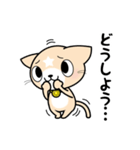 見習い猫の日常（個別スタンプ：16）