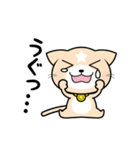 見習い猫の日常（個別スタンプ：20）