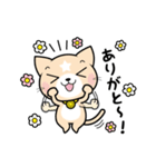 見習い猫の日常（個別スタンプ：22）