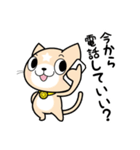 見習い猫の日常（個別スタンプ：23）