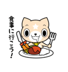 見習い猫の日常（個別スタンプ：27）