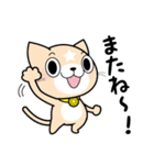 見習い猫の日常（個別スタンプ：31）