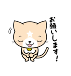 見習い猫の日常（個別スタンプ：33）
