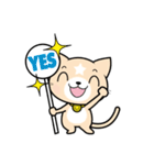 見習い猫の日常（個別スタンプ：35）