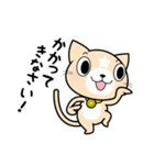 見習い猫の日常（個別スタンプ：37）