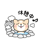 見習い猫の日常（個別スタンプ：39）