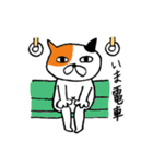ねこのささみ2（個別スタンプ：9）