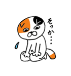 ねこのささみ2（個別スタンプ：13）